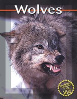 Hardcover Wolves Book