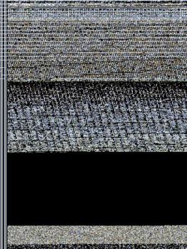 Hardcover The Path Forward Book