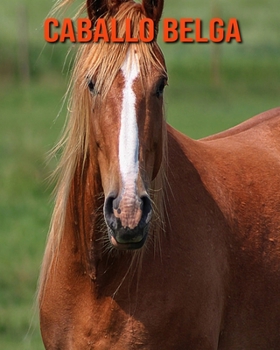 Caballo belga: Libro para ni?os con im?genes asombrosas y datos curiosos sobre los Caballo belga