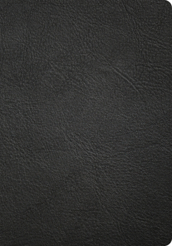 Leather Bound CSB Apologetics Study Bible, Revised & Updated, Easy-To-Read Optimal Type, Black Genuine Leather, Indexed Book