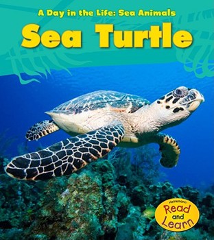 Hardcover Sea Turtle Book