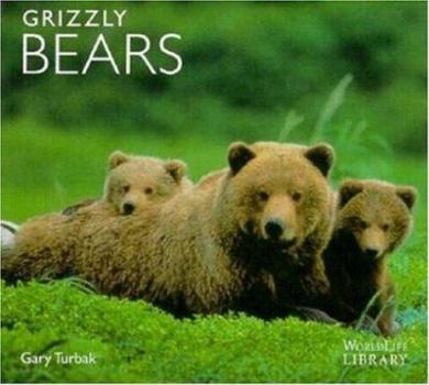 Paperback Grizzly Bears Book