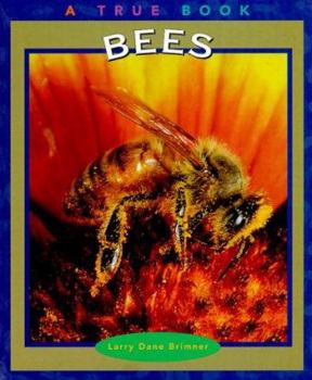 Hardcover Bees Book