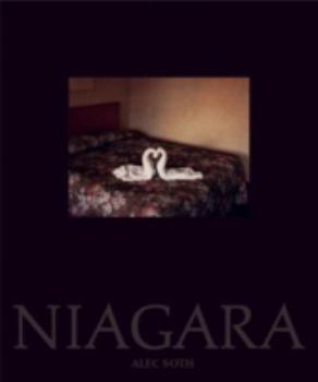 Hardcover Alec Soth: Niagara Book