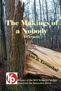 Paperback The Makings of a Nobody: A Fictmoir Book
