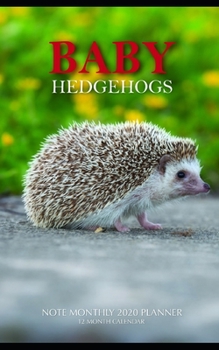 Paperback Baby Hedgehogs Note Monthly 2020 Planner 12 Month Calendar Book