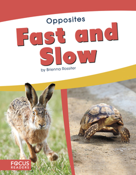 Paperback Fast and Slow Book