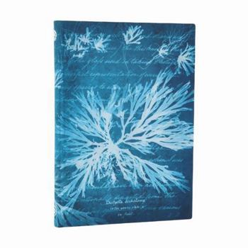 Sea Flowers MIDI Unlined Softcover Journal, 176pg, 100gsm, Treasures of the New York Public Library by Paperblanks (Anna Atkins' Cyanotypes)
