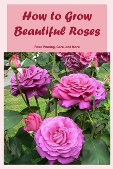 How to Grow Beautiful Roses: Rose Pruning, Care, and More: Pruning and Caring for Roses.