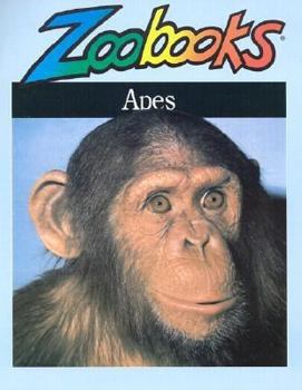 Paperback The Apes: Gorillas, Chimpanzees, Orangutans, Gibbons, Siamangs Book