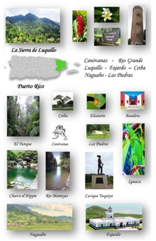 Paperback La Sierra de Luquillo, Puerto Rico [Spanish] Book