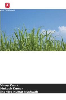 Relação entre a cobertura morta e a nutrição com fósforo na cana-de-açúcar plantada no outono