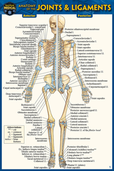 Wall Chart Anatomy of the Joints & Ligaments (Pocket-Sized Edition - 4x6 Inches) Book