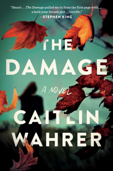 Hardcover The Damage Book