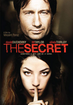 DVD The Secret Book