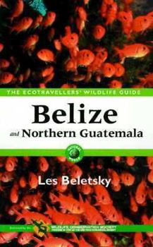 Paperback Belize and Northern Guatemala Book
