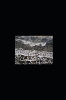 Paperback Song of the Wayzender Book