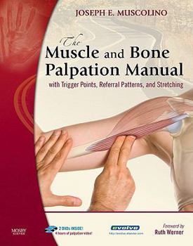 Paperback The Muscle and Bone Palpation Manual with Trigger Points, Referral Patterns and Stretching [With 2 DVDs] Book