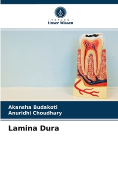 Paperback Lamina Dura [German] Book