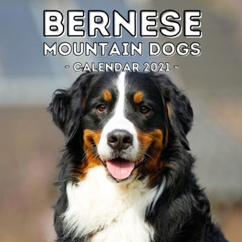 Bernese Mountain Dogs: 2021 Wall Calendar, Cute Gift Idea For Bernese Lovers Or Owners Men And Women