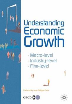 Hardcover Understanding Economic Growth: *Macro-Level *Industry-Level * Firm-Level Book