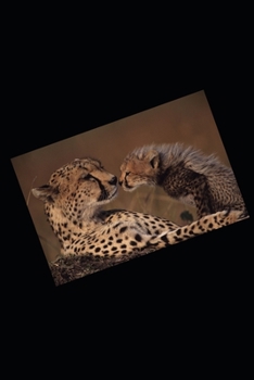 Paperback The Reign of Makeda Book