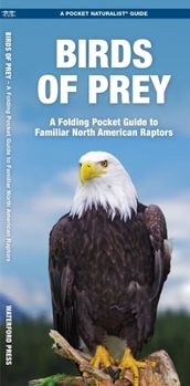 Unknown Binding Birds of Prey: An Introduction to Familiar North American Species Book