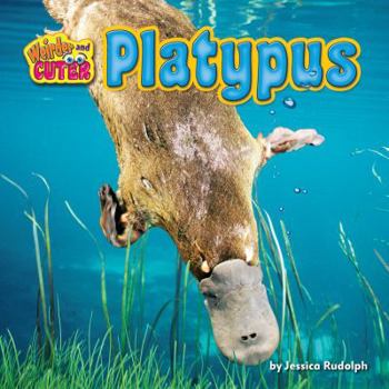 Platypus - Book  of the Weirder and Cuter