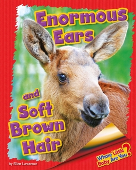 Enormous Ears and Soft Brown Hair (Moose) - Book  of the Whose Little Baby Are You?