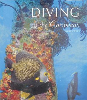 Hardcover Diving in the Caribbean Book