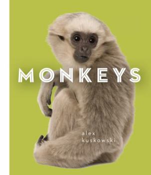 Monkeys - Book  of the Zoo Animals