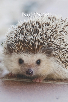 Paperback Notebook: Notebook Hedgehog Fun gift for someone's birthday, perfect present for a friend or a family member. Blank Lined Journa Book