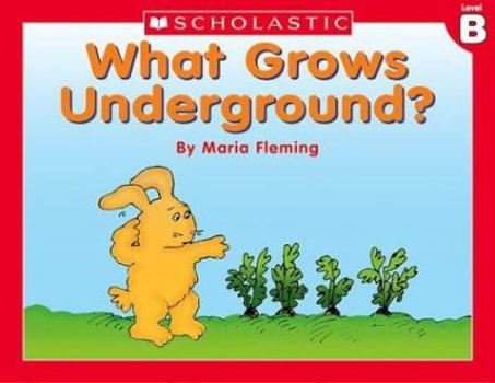 Paperback Level B - What Grows Underground? (Little Leveled Readers: Level B) Book