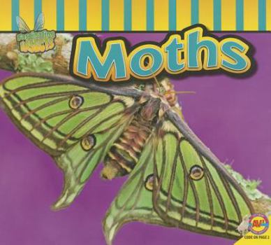 Moths - Book  of the Insectos Fascinantes / Fascinating Insects