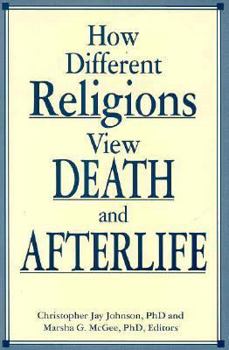 Paperback How Different Religions View Death and Afterlife Book