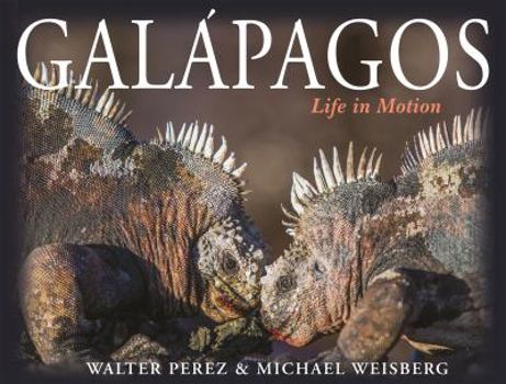 Hardcover Galápagos: Life in Motion Book