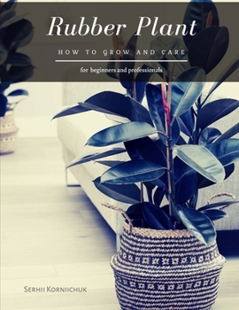 Rubber Plant: How to grow and care