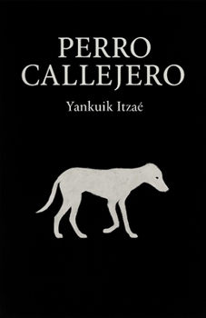 Paperback Perro Callejero [Spanish] Book