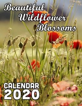 Paperback Beautiful Wildflower Blossoms Calendar 2020: 14 Month Desk Calendar Showing the Beauty of Natural Flowers Found in Nature Book