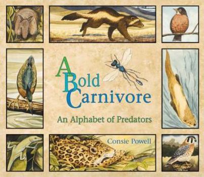 Hardcover A Bold Carnivore: An Alphabet of Predators Book