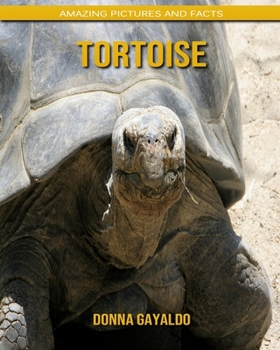 Tortoise: Amazing Pictures and Facts