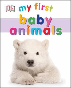 Board book My First Baby Animals Book