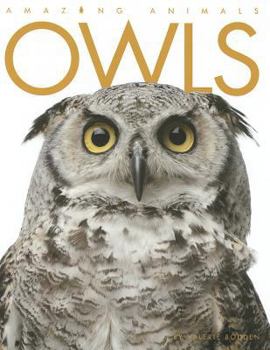 Hardcover Owls Book