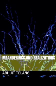Paperback Meanderings and Realizations Book