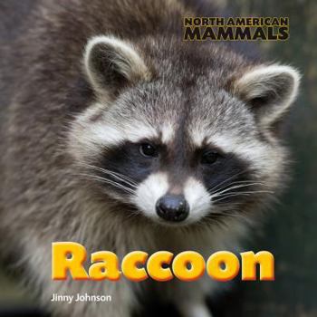 Raccoon - Book  of the North American Mammals