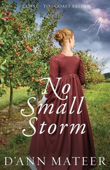 Paperback No Small Storm Book