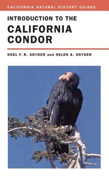 Introduction to the California Condor (California Natural History Guides, #81) - Book #81 of the California Natural History Guides