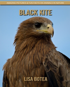 Paperback Black Kite: Amazing Pictures & Fun Facts on Animals in Nature Book