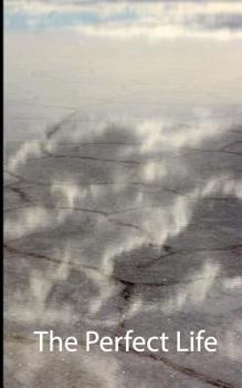 Paperback The Perfect Life Book