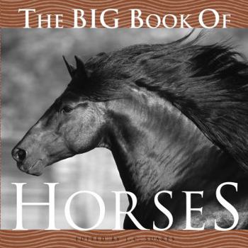 Hardcover The Big Book of Horses Book